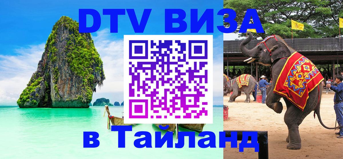 Оформление DTV визы под ключ: стоимость и тарифы, только загранпаспорт - 